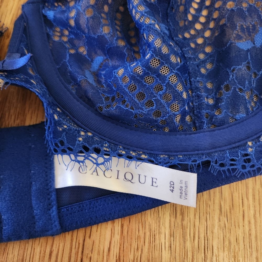 Cacique Lane Bryant Blue Lace Bra And Thong - Picture 6 of 6